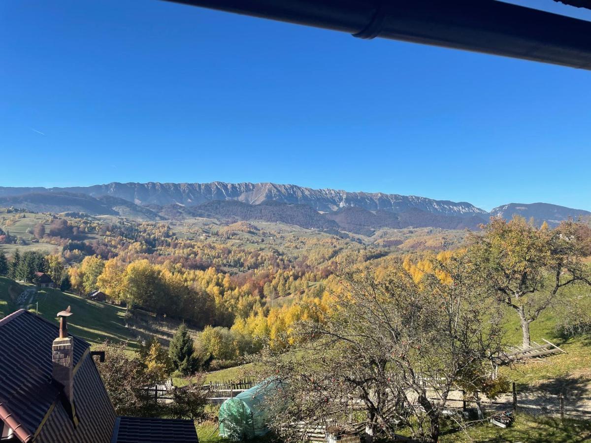 Вилла Prater House Mountain View Моечу-де-Жос Экстерьер фото